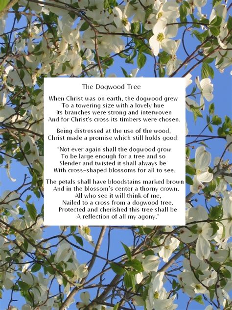 The Legend Of The Dogwood Tree Printable